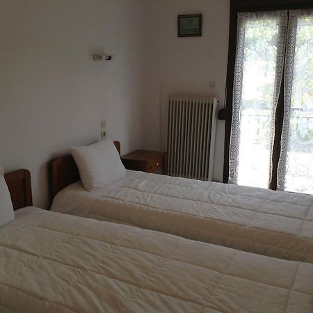 Hotel France Kalambaka Zewnętrze zdjęcie